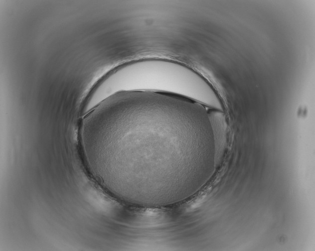 X0000091480060200709061848