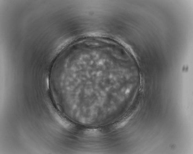 X0000091480061200709061848