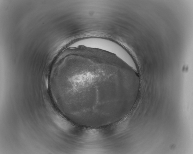 X0000091480062200709061848