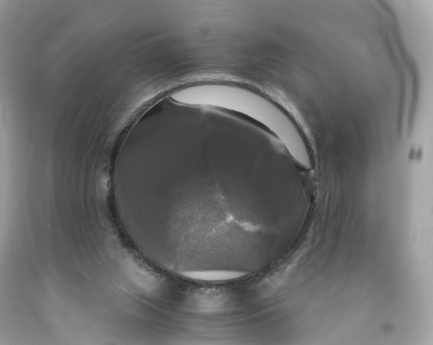 X0000091480063200709061848