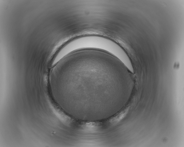 X0000091480064200709061848