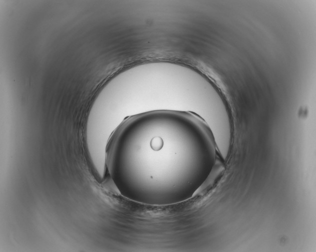 X0000091480065200709061848