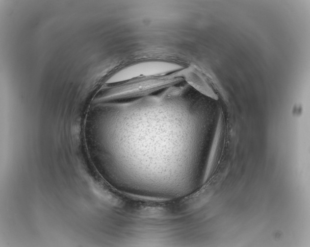 X0000091480066200709061848