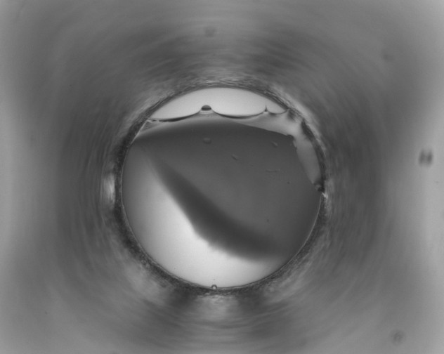 X0000091480067200709061848