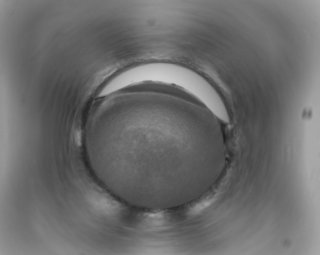 X0000091480068200709061848