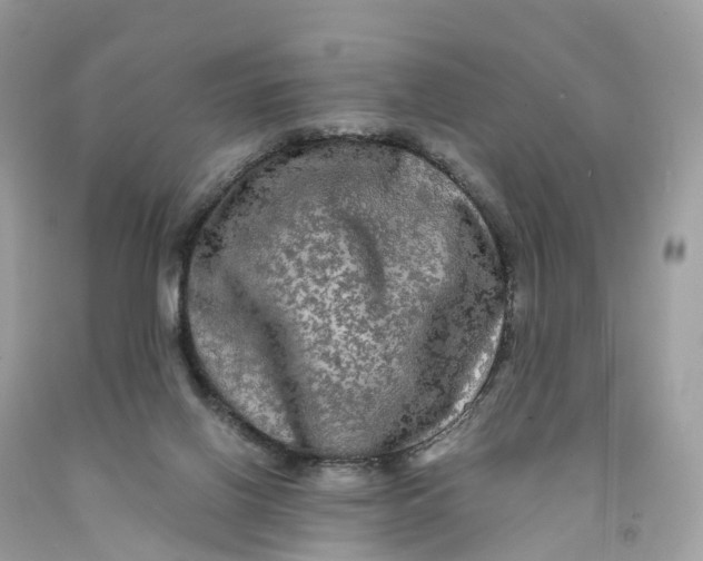 X0000091480070200709061848