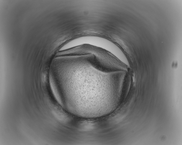 X0000091480071200709061848