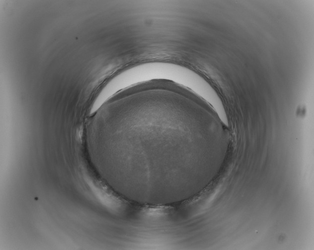 X0000091480072200709061848