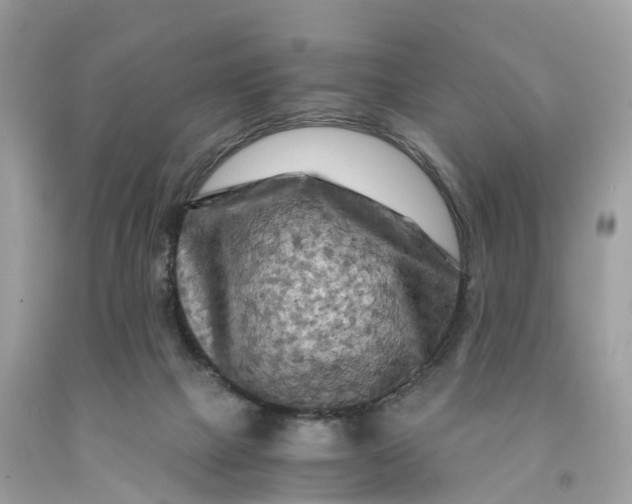 X0000091480073200709061848