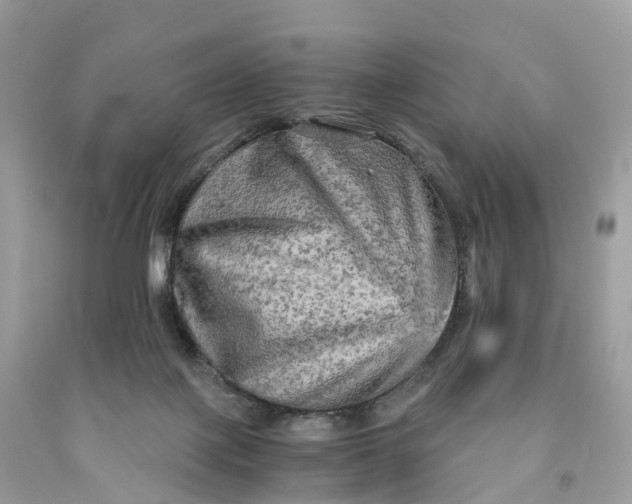 X0000091480075200709061848