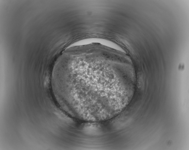 X0000091480077200709061848