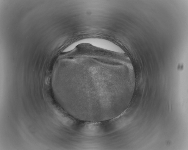 X0000091480078200709061848