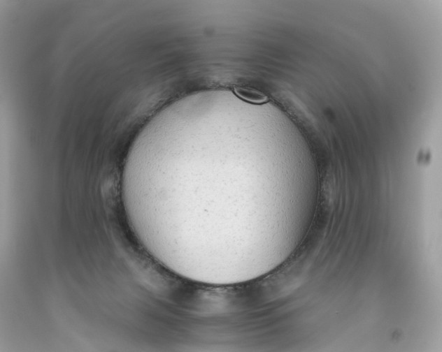 X0000091480079200709061848