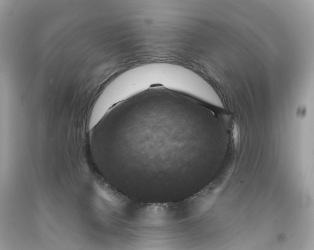 X0000091480080200709061848