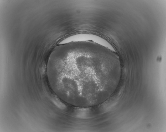 X0000091480081200709061848