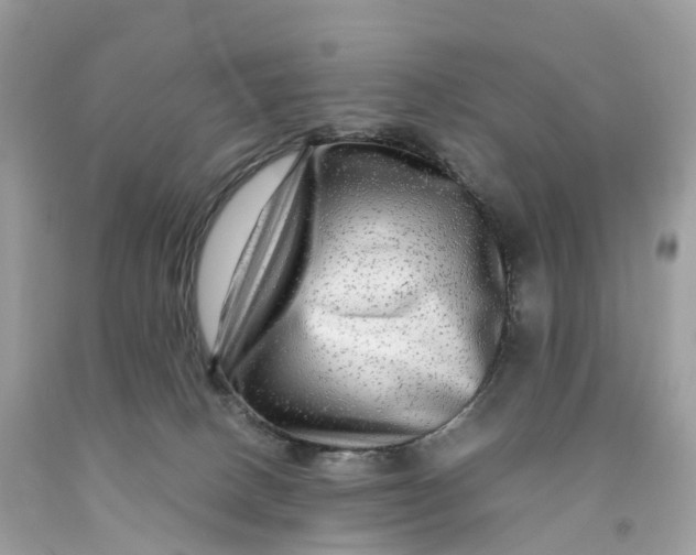 X0000091480082200709061848