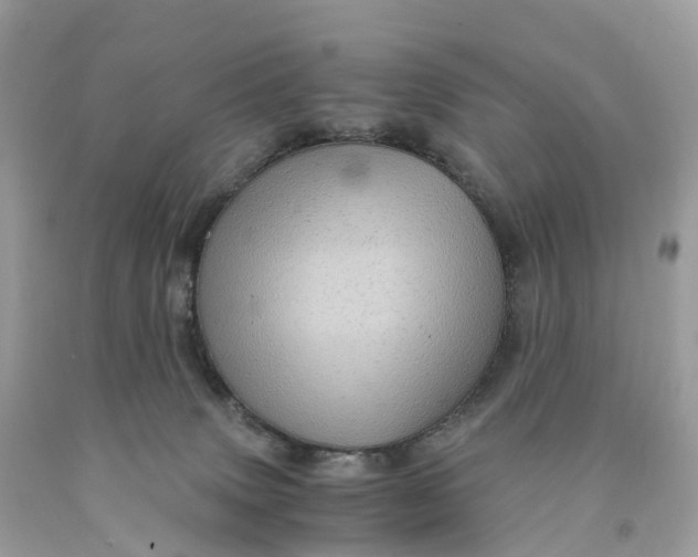 X0000091480083200709061848