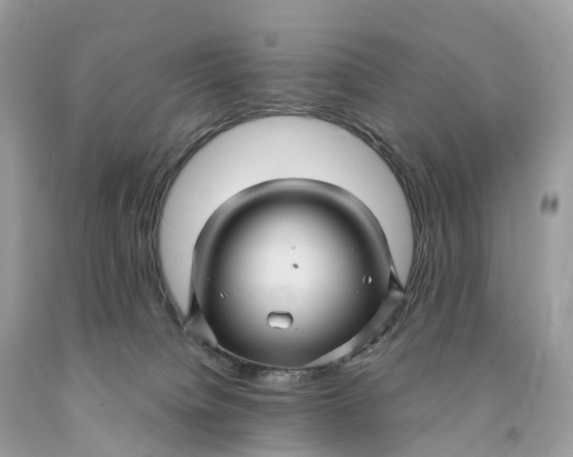 X0000091480084200709061848