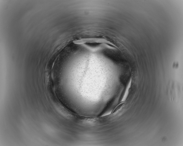 X0000091480086200709061848