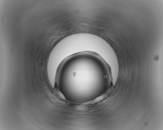 X0000091480088200709061848