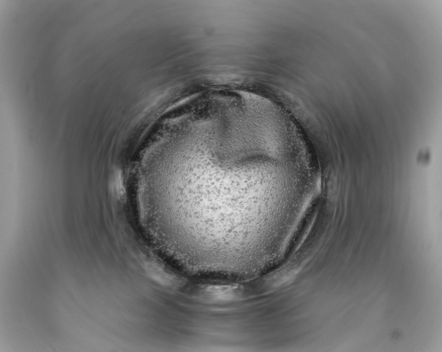 X0000091480089200709061848