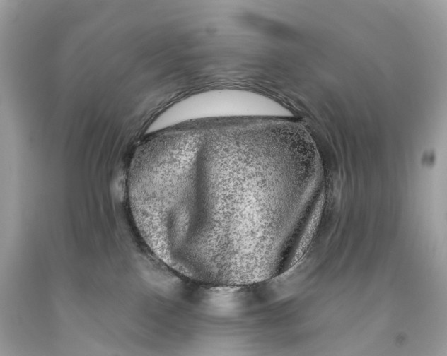 X0000091480090200709061848