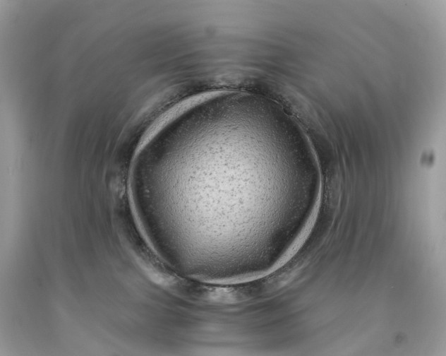 X0000091480091200709061848