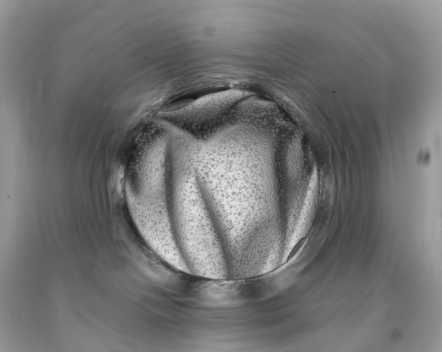 X0000091480094200709061848