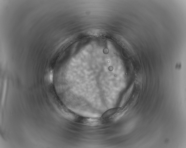 X0000091480095200709061848