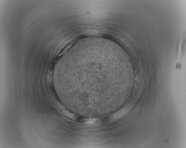 X0000091480096200709061848