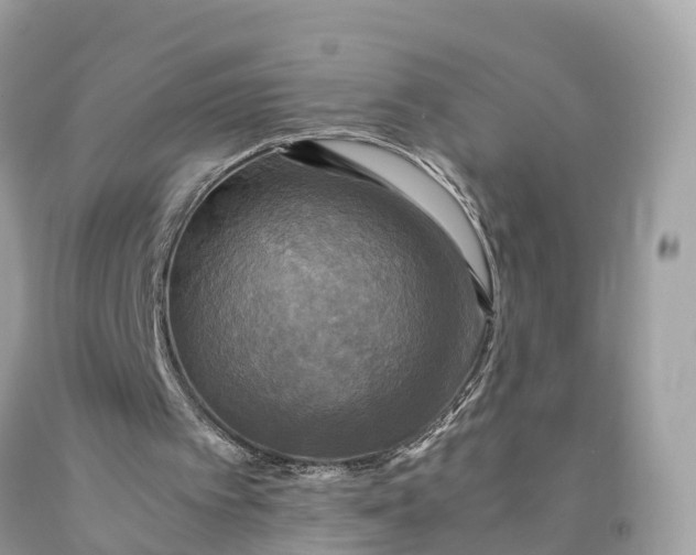 X0000091480097200709061848