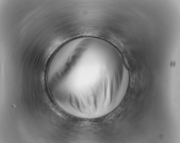 X0000091480098200709061848