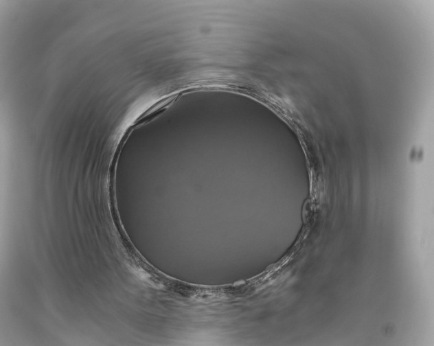 X0000091480099200709061848