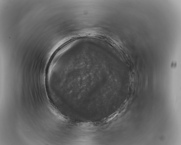 X0000091480100200709061848