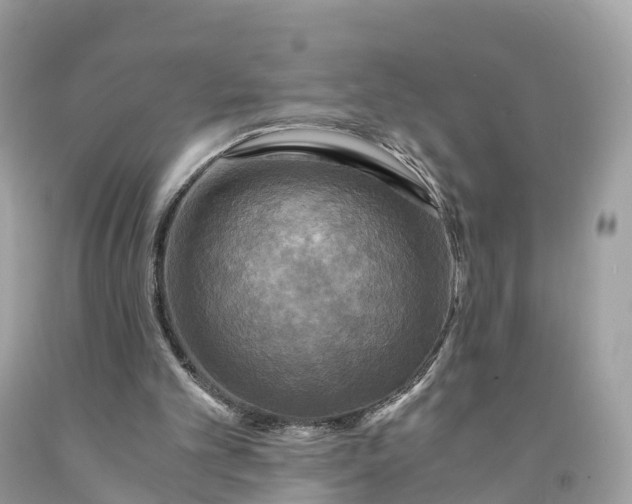 X0000091480101200709061848