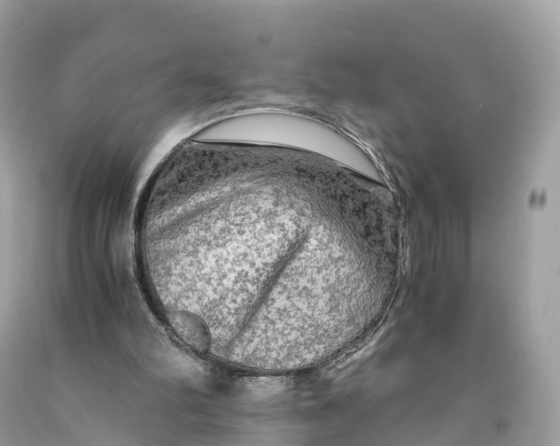 X0000091480102200709061848