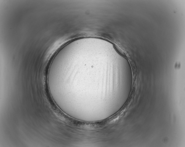 X0000091480103200709061848