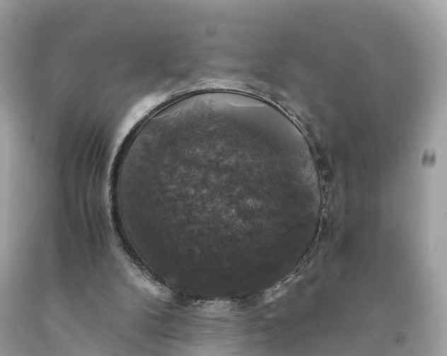 X0000091480104200709061848