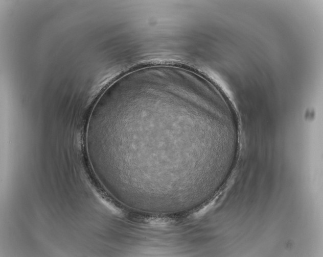 X0000091480105200709061848