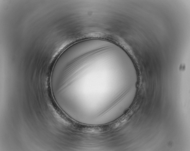 X0000091480106200709061848