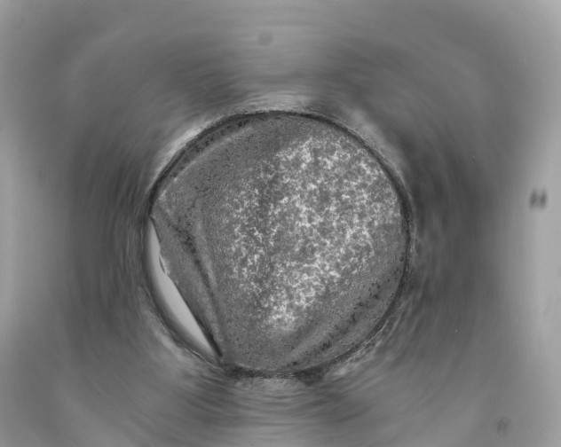 X0000091480107200709061848