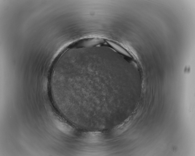 X0000091480108200709061848