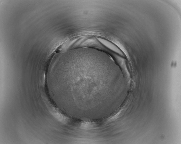 X0000091480109200709061848