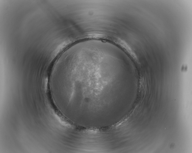 X0000091480110200709061848