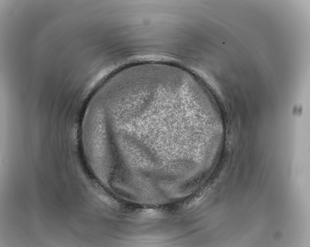 X0000091480111200709061848