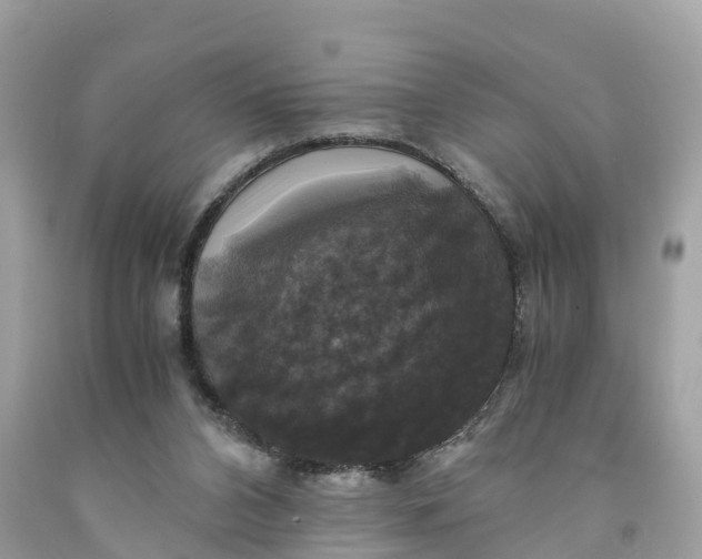 X0000091480112200709061847