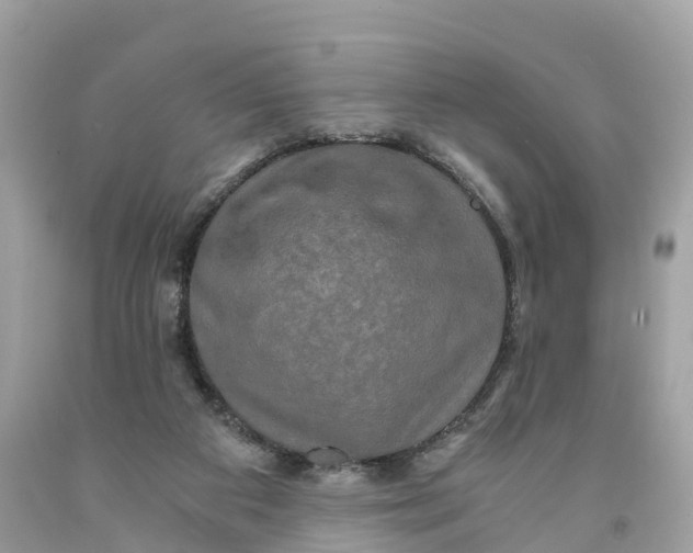 X0000091480113200709061847