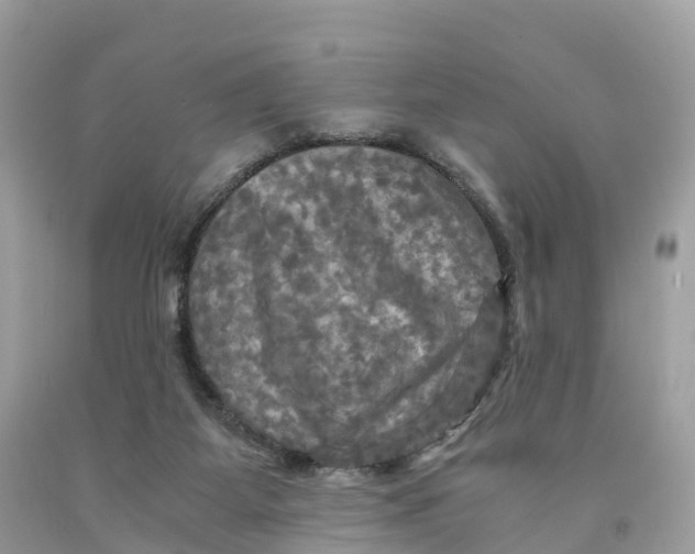 X0000091480115200709061847