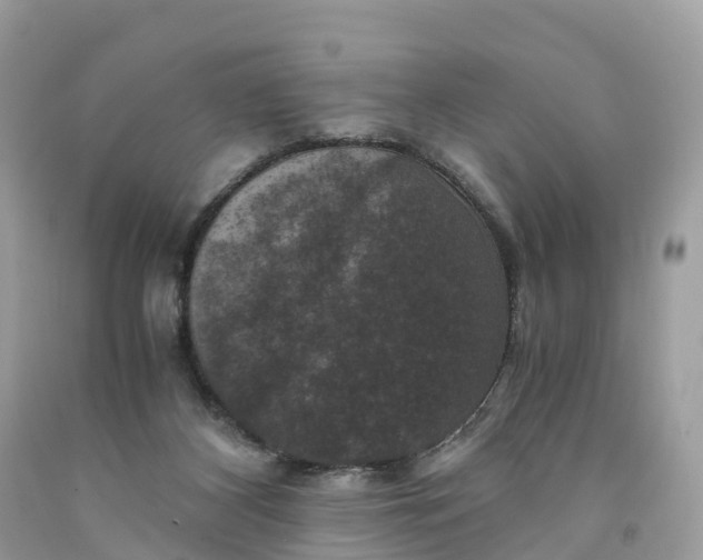 X0000091480116200709061847