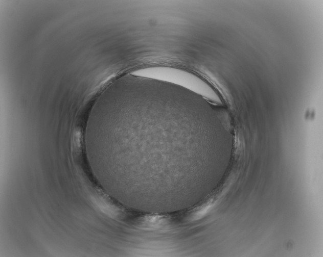 X0000091480117200709061847